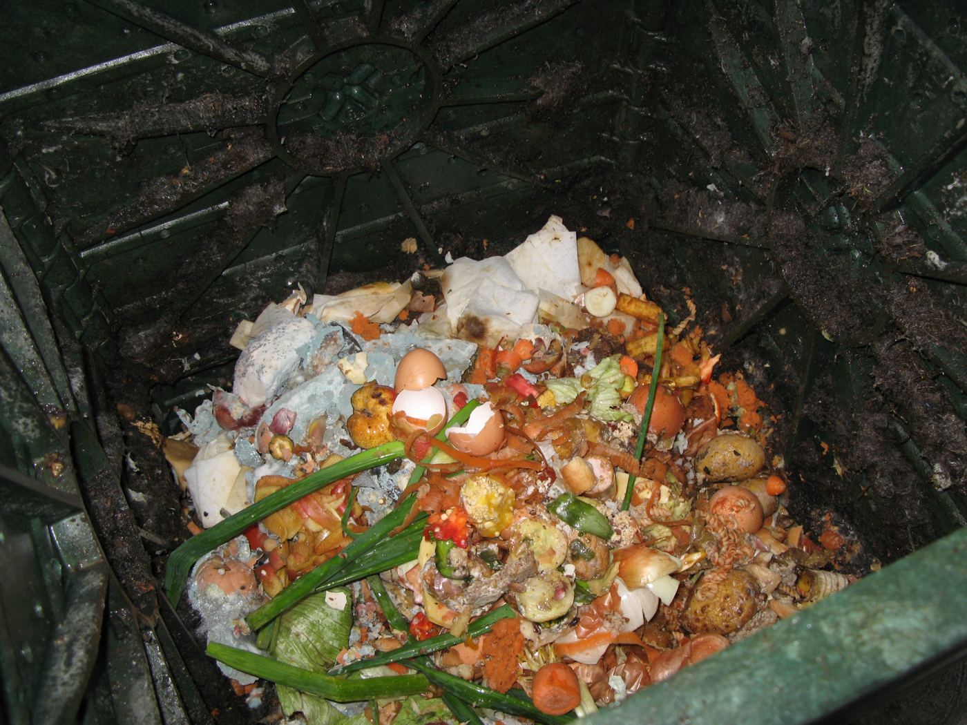 Déchets de cuisine déposés dans un composteur